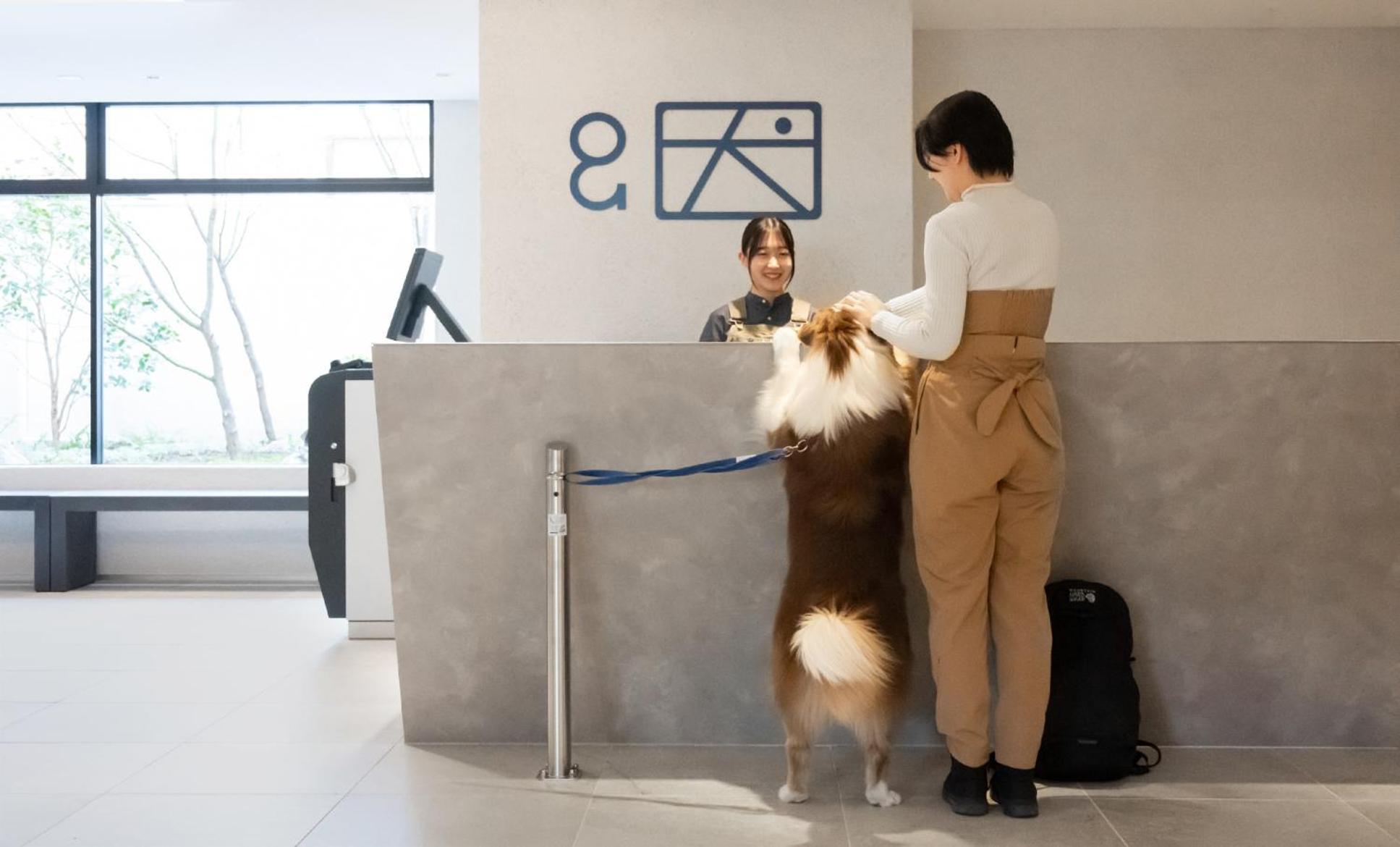 Hotel Anddoggy Kyoto Nijo Exteriör bild
