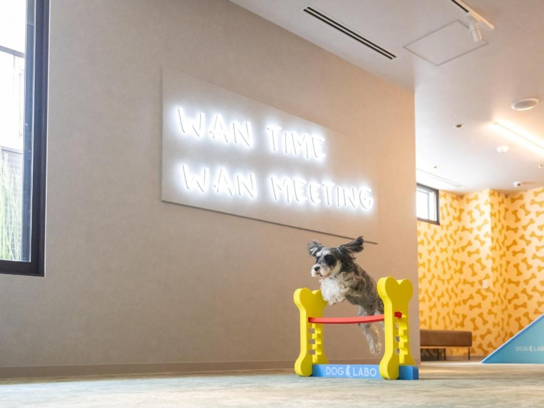 Hotel Anddoggy Kyoto Nijo Exteriör bild