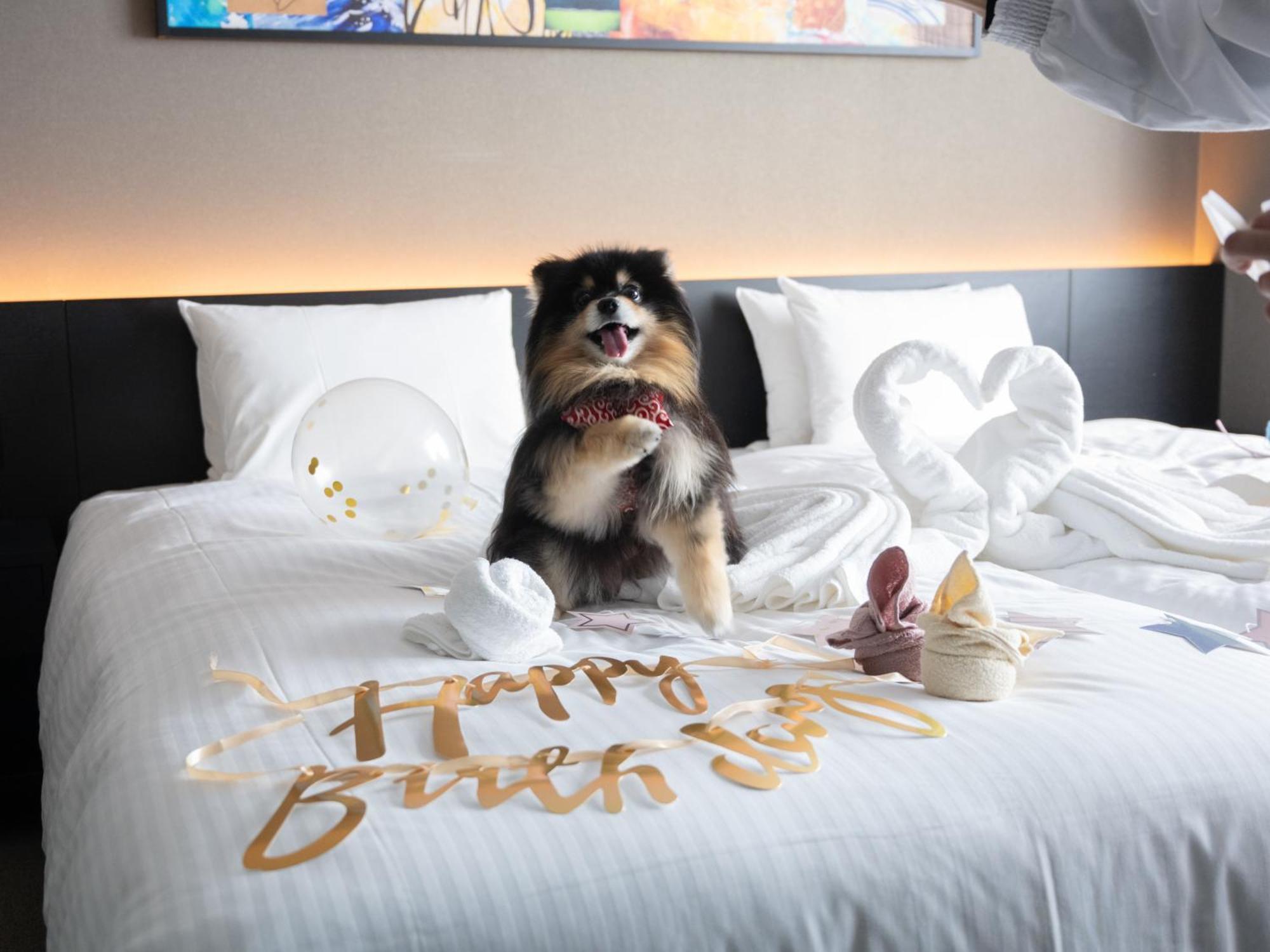 Hotel Anddoggy Kyoto Nijo Exteriör bild