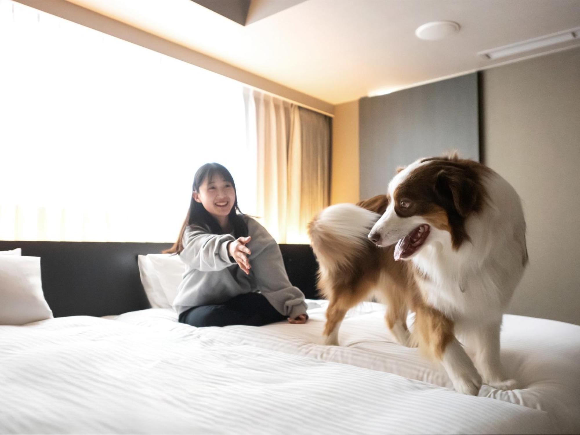 Hotel Anddoggy Kyoto Nijo Exteriör bild